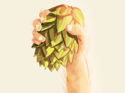 Hop'd! beer grain hand hops illustration wheat