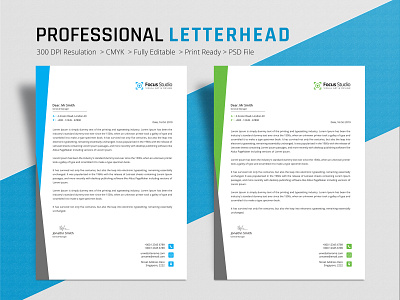 Professional Letterhead a4 awesome branding branding design business clean colorful corporate crative design graphic design letter letterhead design letterhead template print design professional professional design psd us letter