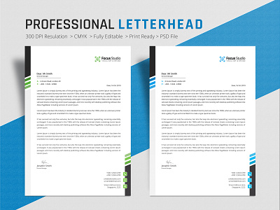 Professional Letterhead a4 awesome blue branding branding design business clean colorful corporate crative design graphic design letter letterhead letterhead design print design professional professional design template us letter