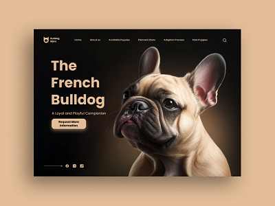 Website for breeding French bulldogs: landing page home page ui design figma landing page ui ux web design