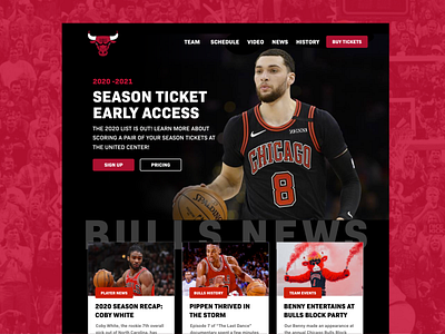 Chicago Bulls Web Design