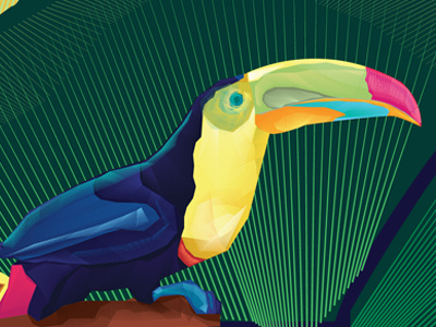 Colorful Toucan Blend Line Illustration abstract brasil colorful flat illustration line polygonal samba shading toucan ui