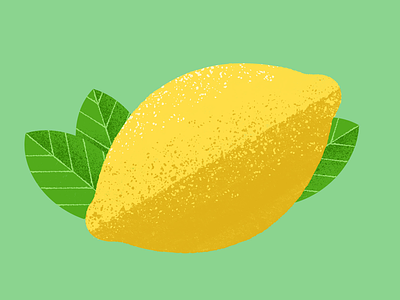 Lemon color colorful fruit fruits fun illustrate illustration illustrator juice juicy leaf leaves lemon lemonade lemons skin summer tart texture yellow