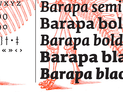Barapa barapa type design type@cooper typography