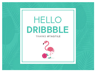 Hello Dribbble 2