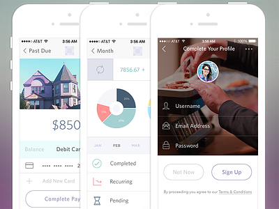 Finance App Rebound checkout finance icons ios 7 iphone login ui