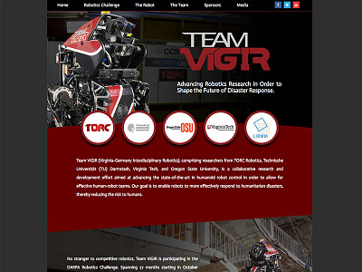 Team Vigir Website design photography photoshop web