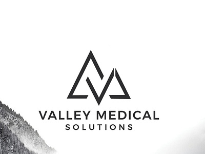 Valley Medical Logo Design