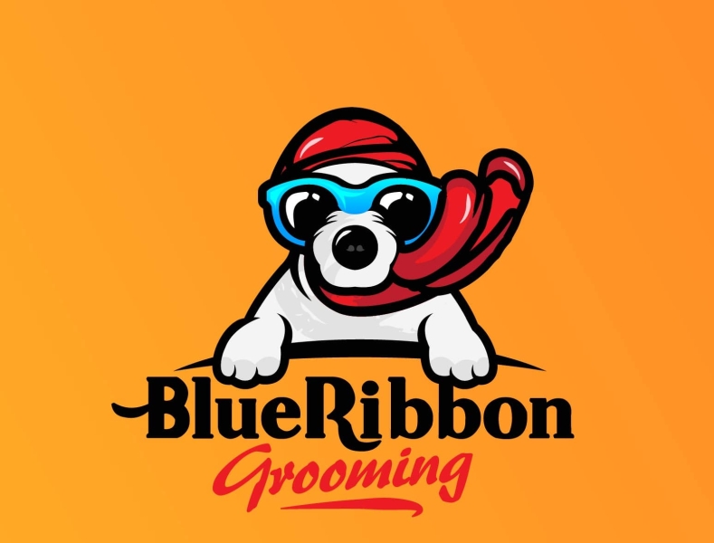 Blue Rbbon Logo Design by Design Cater on Dribbble