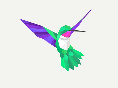 Hummingbird Update birds flight hummingbird polygon
