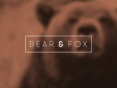 Bearandfox bear bearandfox branding company fox identity ios app development london uk