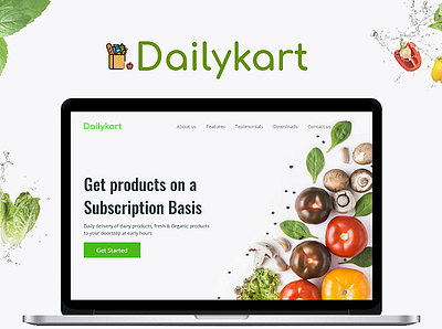 Dailykart banner ecommerce ui