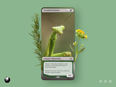 MTG - Insect (AR Filter)