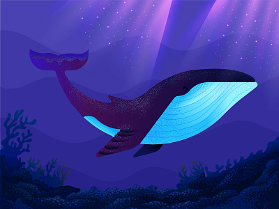 Whale illustration sea under water whale