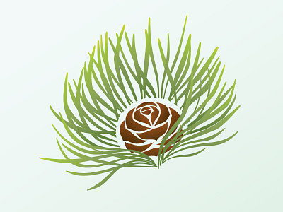 Rejected Pine coniferous green nature needles pine pine cone rejected tree