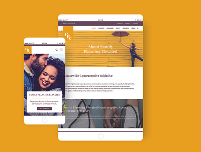 Family Planning Elevated Website branding branding design identity identity branding identity design mobile design mobile ui non profit ui design ux design web web design