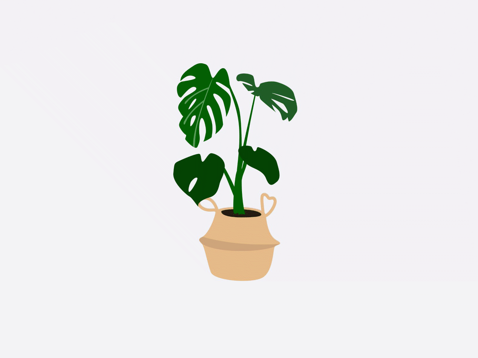 Plant & Pot Library app art component design illustration mobile sketch symbol ui vector