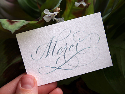 Thank you calligraphy card calligraphy card copperplate handwritten merci thank you