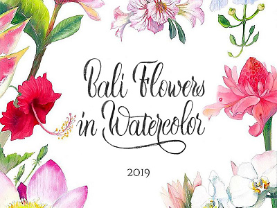 Bali Flowers in Watercolor brush lettering hand lettering