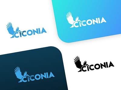 Ciconia - Logo branding design icon logo typography