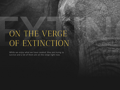 Website | On the Verge of Extinction