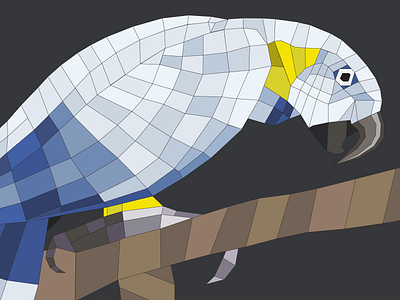 Parrot Illustration