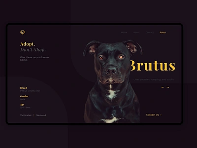 Adopt a Dog Web Page adobe photoshop adobexd adopt dog ui web site webdesign website website design webui webuiuxdesign