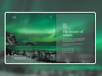 The Wild Travel Guide Design Concept adobe photoshop adobexd aurora aurora borealis design guide homepage norway travel ui uidesign ux webdesign website webui webuiuxdesign