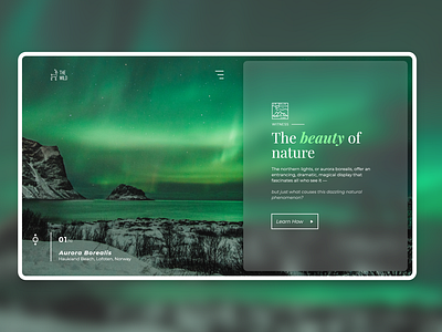 The Wild Travel Guide Design Concept