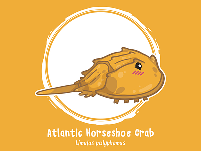 Huevember 04 // Atlantic Horseshoe Crab art challenge arthropod horseshoe crab huevember illustration