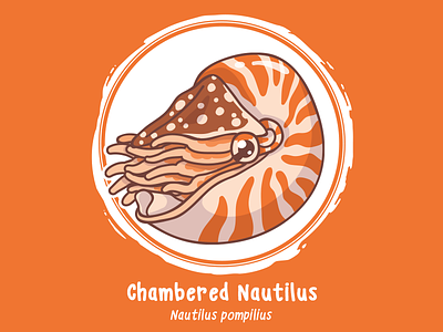Huevember 06 // Chambered Nautilus art challenge byte size treasure cephalopod huevember illustration nautilus saltwater fish