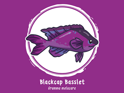 Huevember 13 // Blackcap Basslet art challenge byte size treasure huevember illustration reef fish saltwater fish