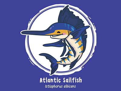 Huevember 17 // Atlantic Sailfish