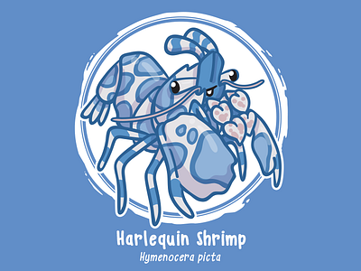 Huevember 20 // Harlequin Shrimp art challenge byte size treasure crustacean huevember illustration reef fish saltwater fish shrimp