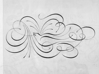 Calligraphic swallow calligraphy drawing flourish flourishes hand drwn mexico ornaments pencil pointed nib sketch specerian swallow tattoo