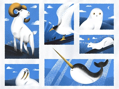 Arctic Animals animals arctic arctic tern dull sheep illustration owl stoat walrus whale winter