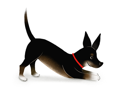 Pet collection character design chihuahua dogs illustration kids pets