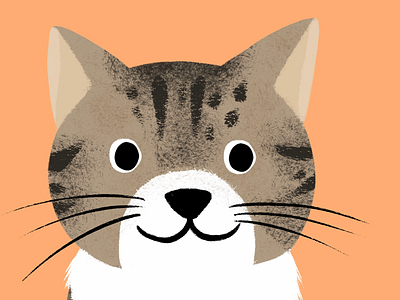 Hello Dribble cats illustration kids pets