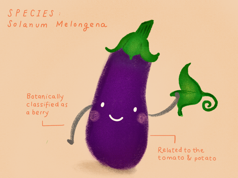 Happy veggies series: aubergine by Lau Soto on Dribbble