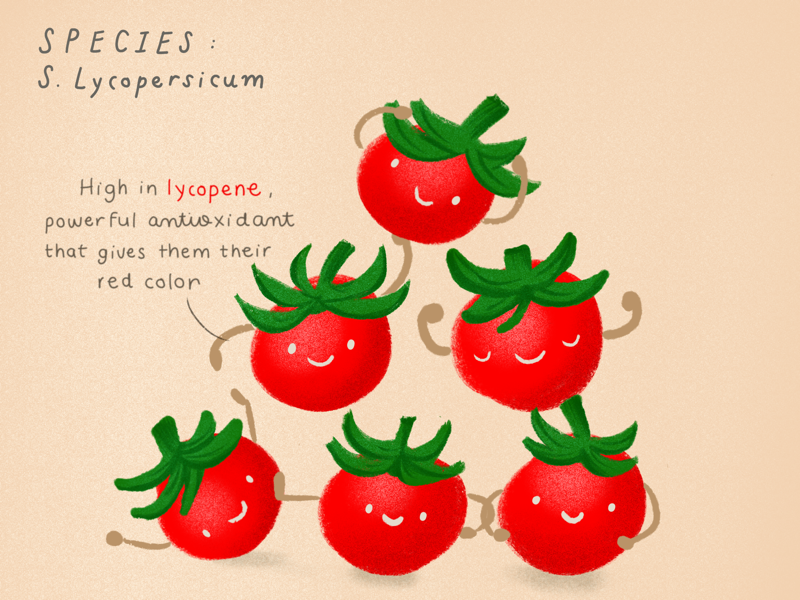 Happy veggies: cherry tomatoes character design healthy food procreate illustration kids