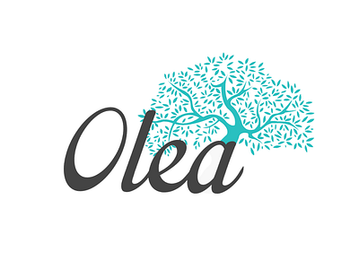 Olea Logo 3 olive tree