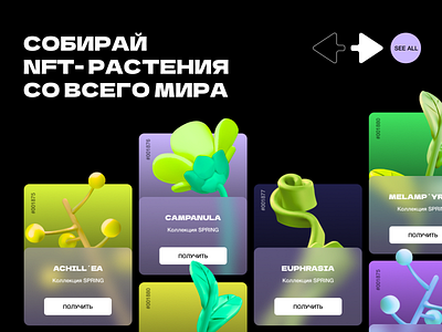 Design concept of the main page of a site selling NFT plants cards concept design graphic design ui web