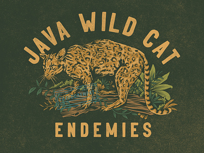 Java Wild Cat