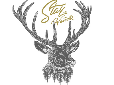 Stay And Wander branding design illustration typography