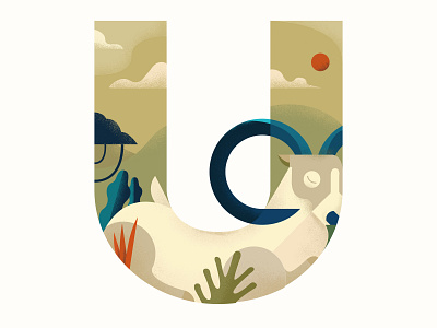 U is for Urial design flat icon illustration lettering minimal type typography vector