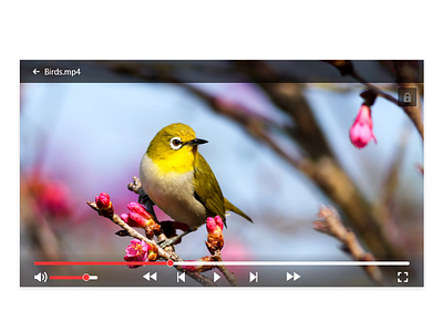 Video Player app daily ui 057 dailyui design ux video player web