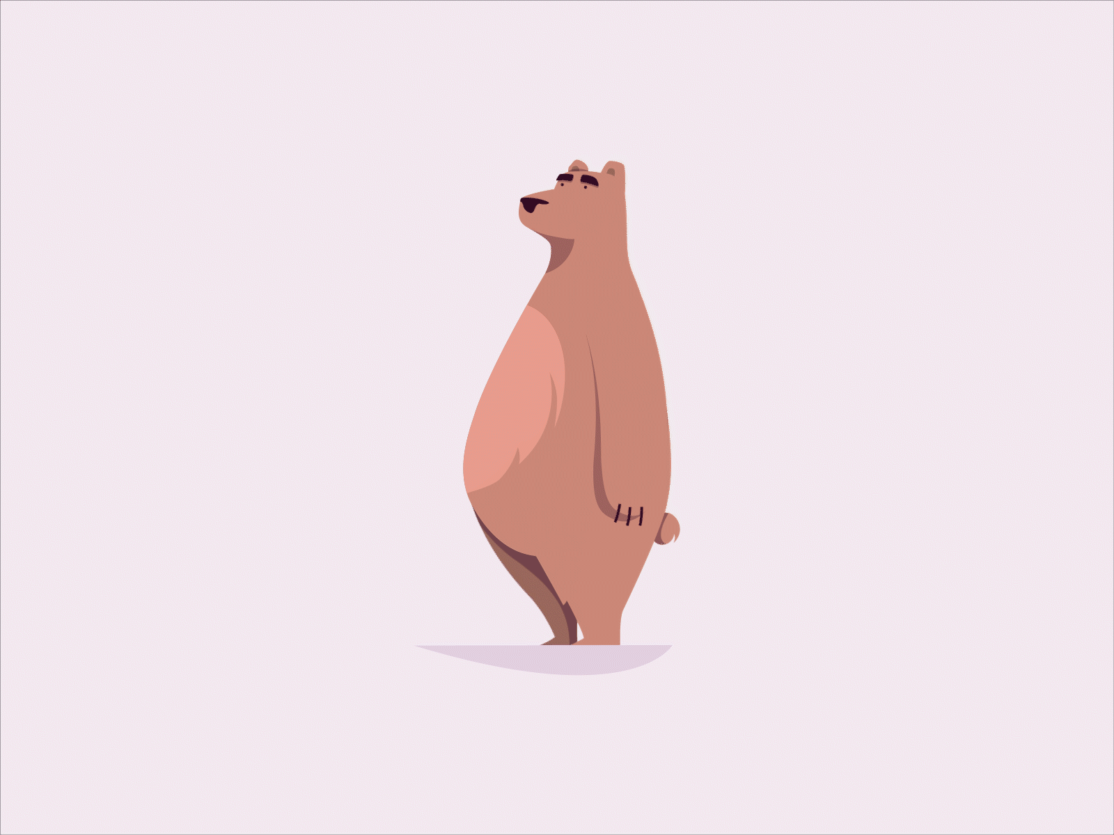 Bear ae amination animation 2d bear character flat illustration vector