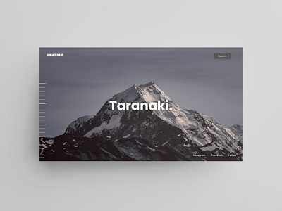 concept for patagonia travel website