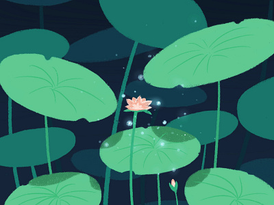 Lotus design illustration vector 插图 设计
