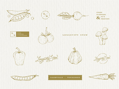 Longevity Stew Branding branding design doodle illustration line logo package design